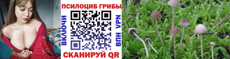 Псилоцибиновые грибы мицелий Когалым